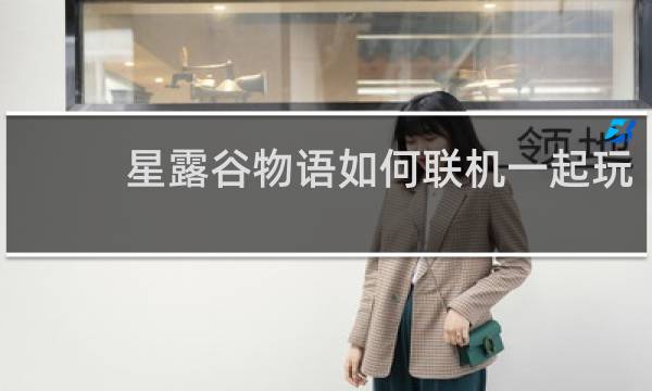 星露谷物语如何联机一起玩