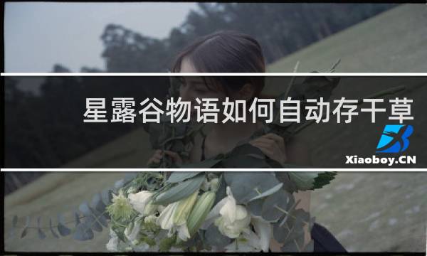星露谷物语如何自动存干草
