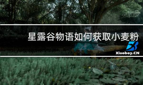 星露谷物语如何获取小麦粉
