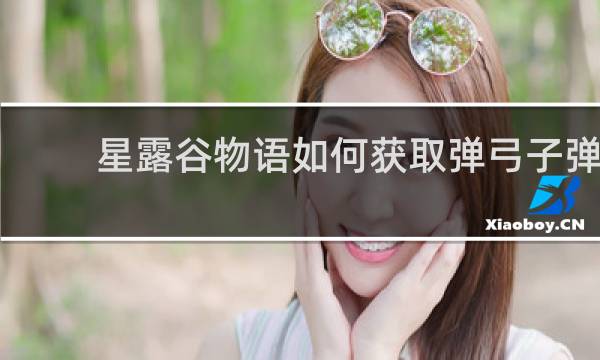 星露谷物语如何获取弹弓子弹