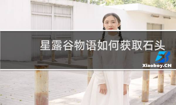 星露谷物语如何获取石头