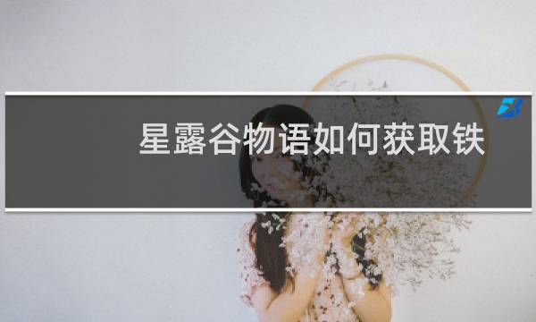 星露谷物语如何获取铁