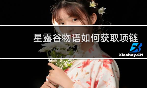 星露谷物语如何获取项链