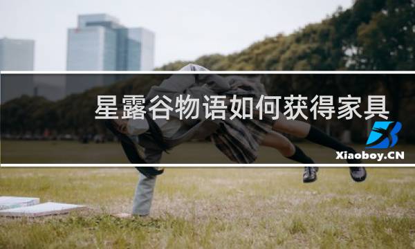 星露谷物语如何获得家具