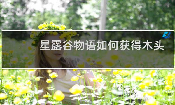 星露谷物语如何获得木头