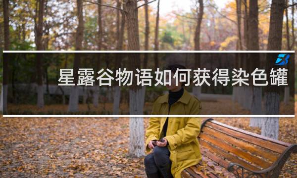 星露谷物语如何获得染色罐