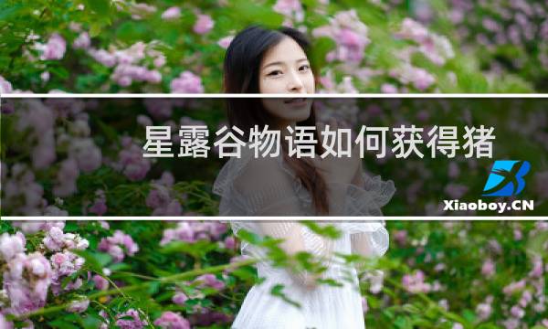 星露谷物语如何获得猪