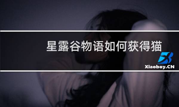 星露谷物语如何获得猫
