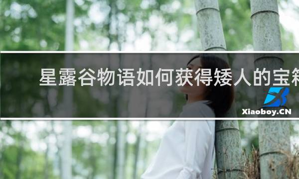 星露谷物语如何获得矮人的宝箱
