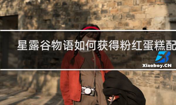 星露谷物语如何获得粉红蛋糕配方