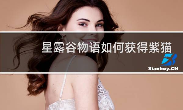 星露谷物语如何获得紫猫