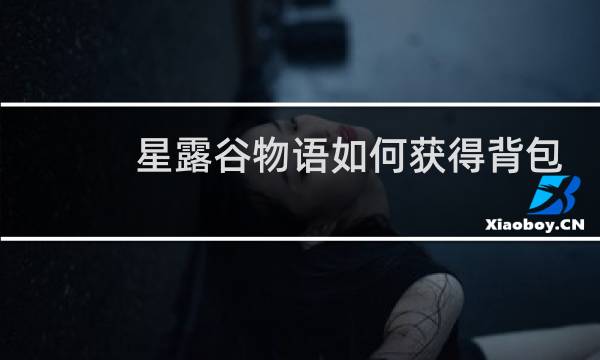 星露谷物语如何获得背包