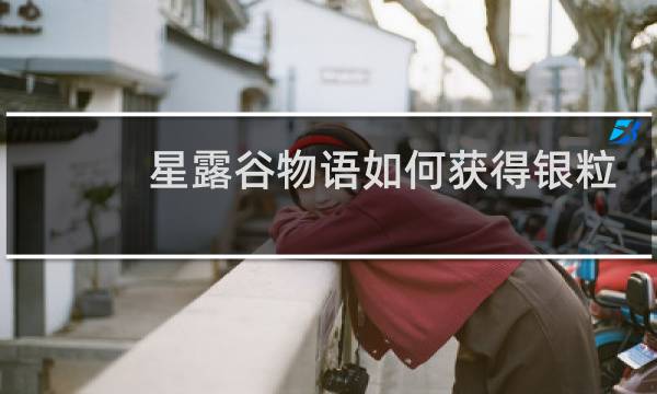 星露谷物语如何获得银粒