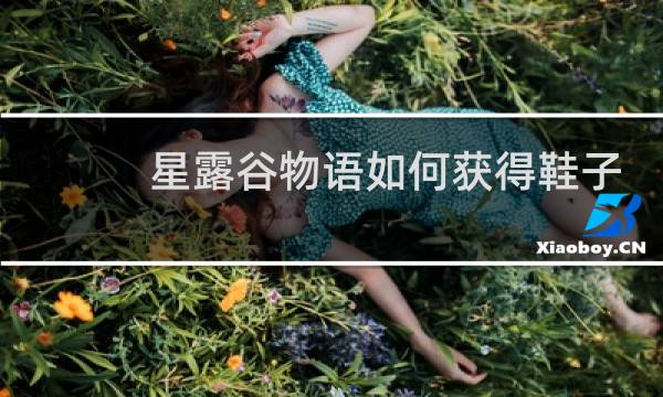 星露谷物语如何获得鞋子