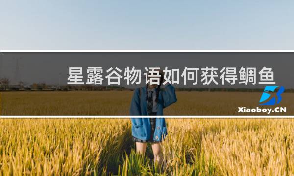 星露谷物语如何获得鲷鱼