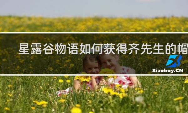 星露谷物语如何获得齐先生的帽子
