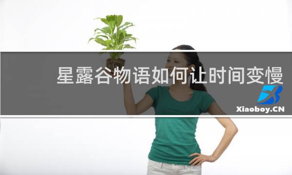 星露谷物语如何让时间变慢