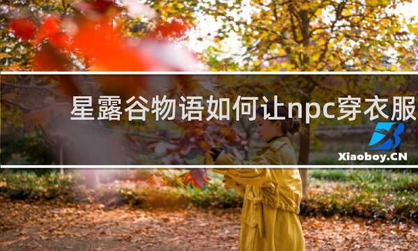星露谷物语如何让npc穿衣服