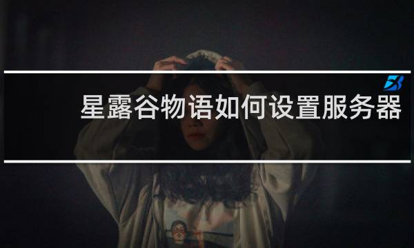 星露谷物语如何设置服务器