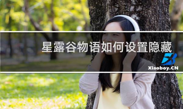 星露谷物语如何设置隐藏