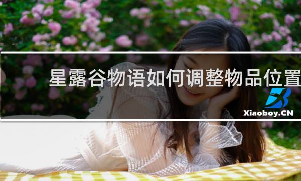 星露谷物语如何调整物品位置