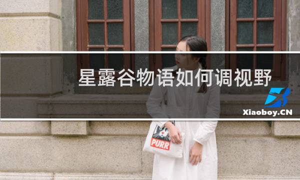 星露谷物语如何调视野
