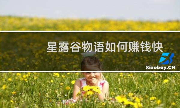 星露谷物语如何赚钱快