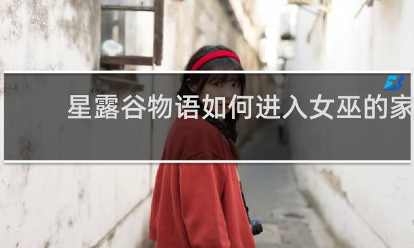 星露谷物语如何进入女巫的家