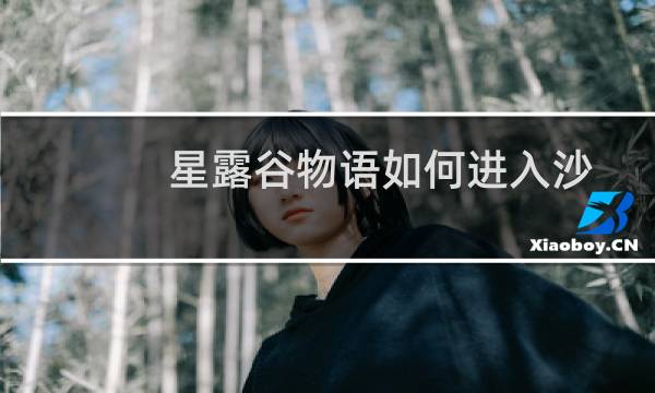 星露谷物语如何进入沙