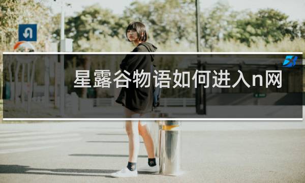 星露谷物语如何进入n网