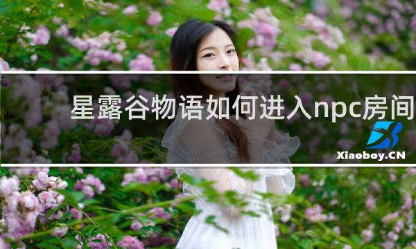 星露谷物语如何进入npc房间