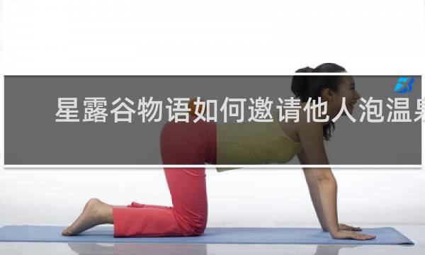 星露谷物语如何邀请他人泡温泉