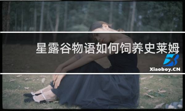 星露谷物语如何饲养史莱姆