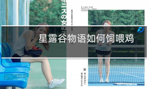 星露谷物语如何饲喂鸡