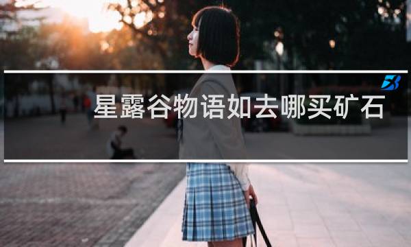 星露谷物语如去哪买矿石