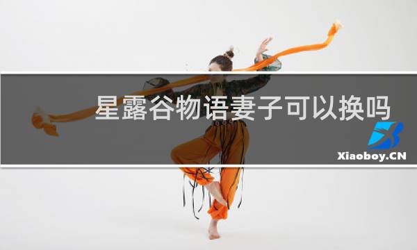 星露谷物语妻子可以换吗