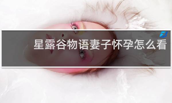 星露谷物语妻子怀孕怎么看