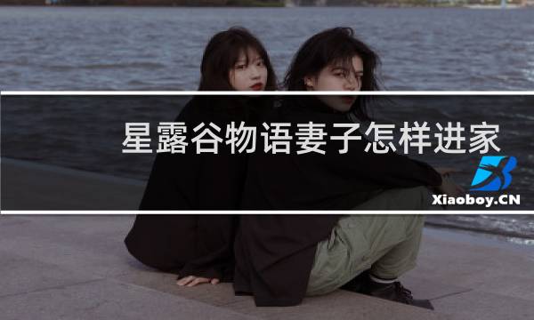 星露谷物语妻子怎样进家