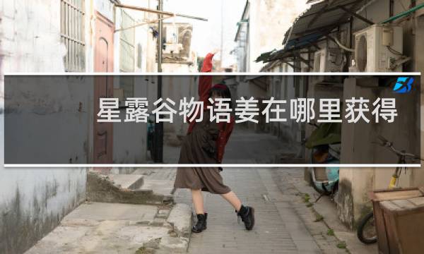 星露谷物语姜在哪里获得