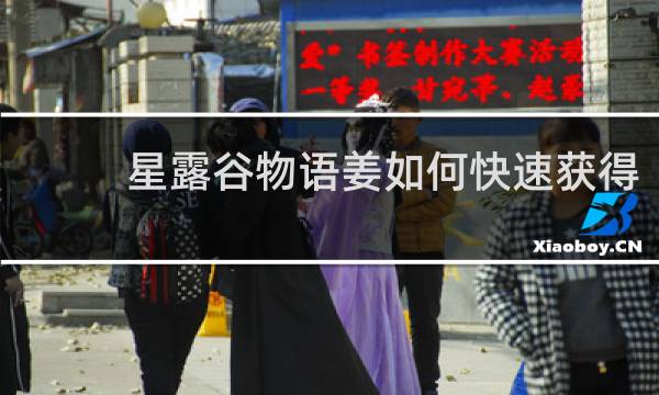 星露谷物语姜如何快速获得