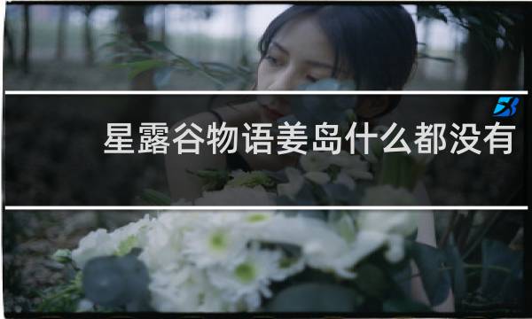 星露谷物语姜岛什么都没有