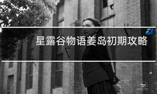 星露谷物语姜岛初期攻略