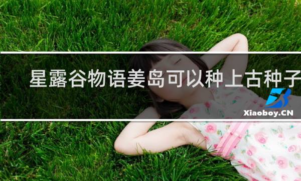 星露谷物语姜岛可以种上古种子吗