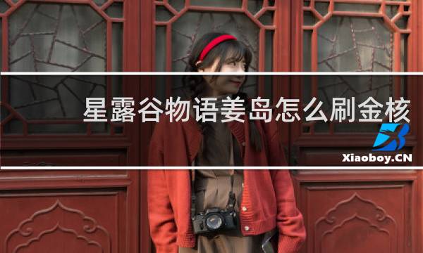 星露谷物语姜岛怎么刷金核