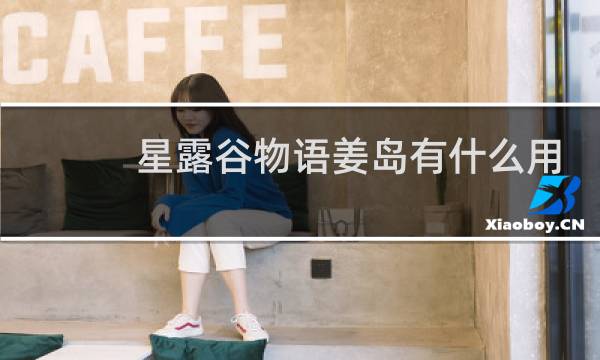 星露谷物语姜岛有什么用