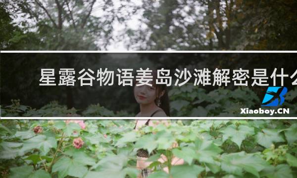 星露谷物语姜岛沙滩解密是什么