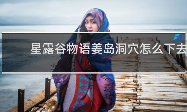 星露谷物语姜岛洞穴怎么下去