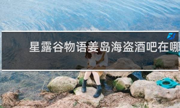 星露谷物语姜岛海盗酒吧在哪