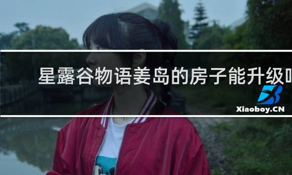 星露谷物语姜岛的房子能升级吗