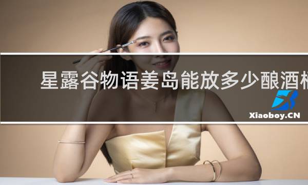 星露谷物语姜岛能放多少酿酒桶